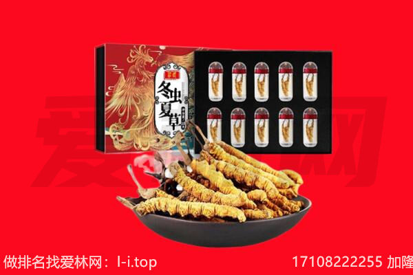 昌都回收虫草.jpg